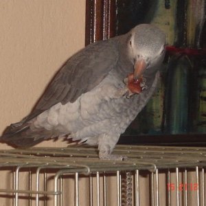 DSC02825 (640 x 480)