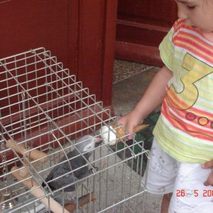 DSC03271 (640 x 480)