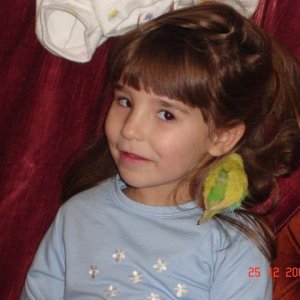 DSC03735 (640 x 480)