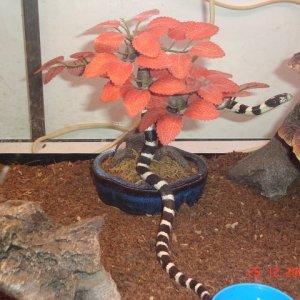 DSC04928 (640 x 480)