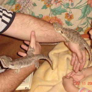 DSC04797 (640 x 480)