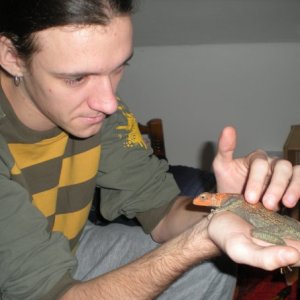 Aleksandrova agama :) Miroljub (jer je miran xP)