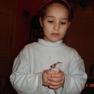 DSC05053 (640 x 480)