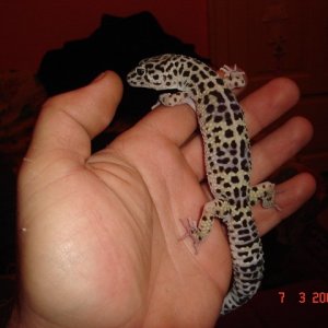 DSC05059 (640 x 480)