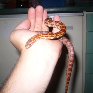 4245 1142082787606 1093536760 30417149 1125578 n