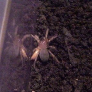 1. dan kada je stigla