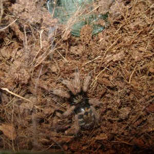 DSC00053 prije presvlačenja