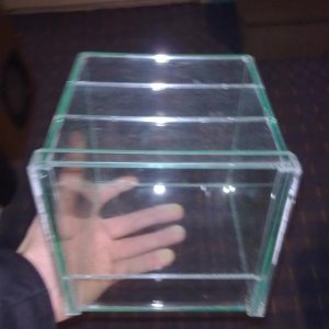 terarijum za  tarantulu 15x15x15