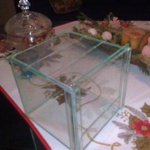 terarijum za  tarantulu 15x15x15