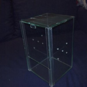 terarijum za  tarantulu 15x15 u osnovi i 25cm u visini